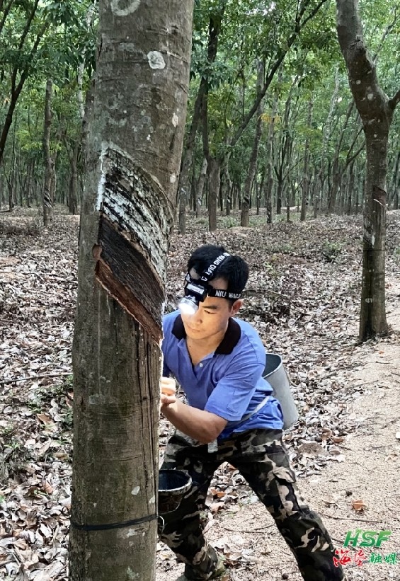 1701424589363046014.jpg 1701424589363046014.jpg