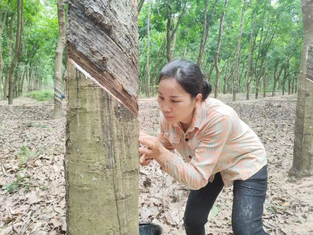 1747614640204052515.jpg 1747614640204052515.jpg