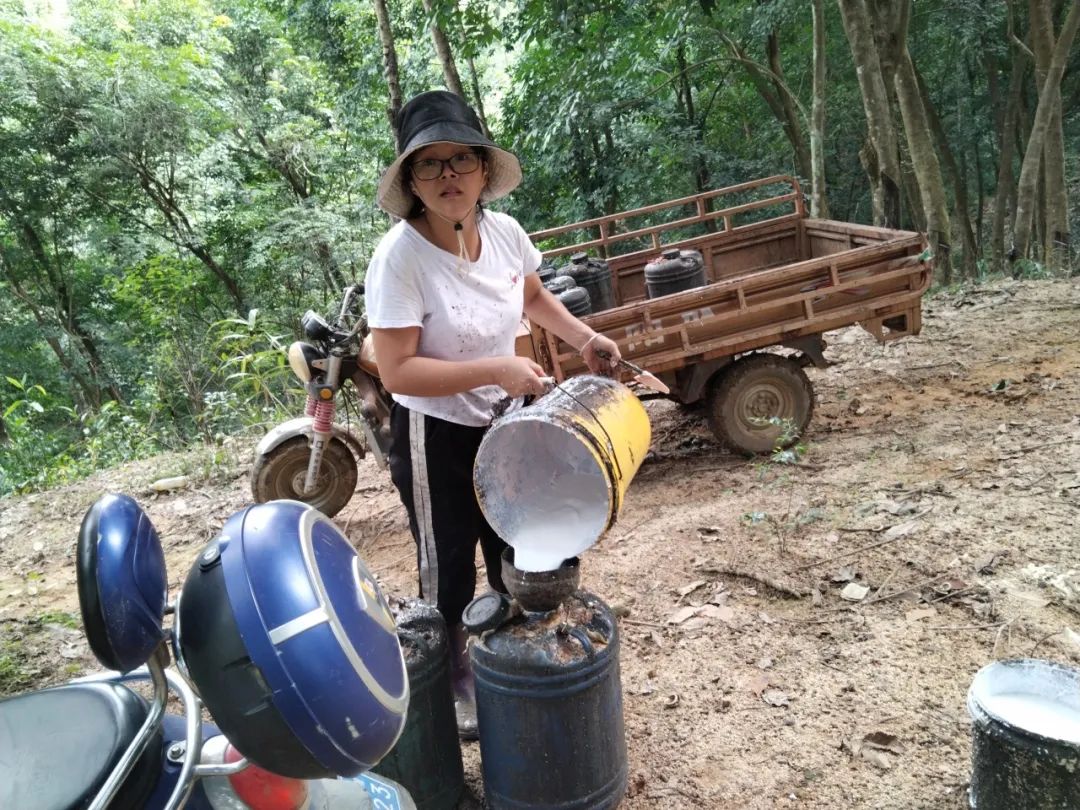 1747637745825028268.jpg 1747637745825028268.jpg