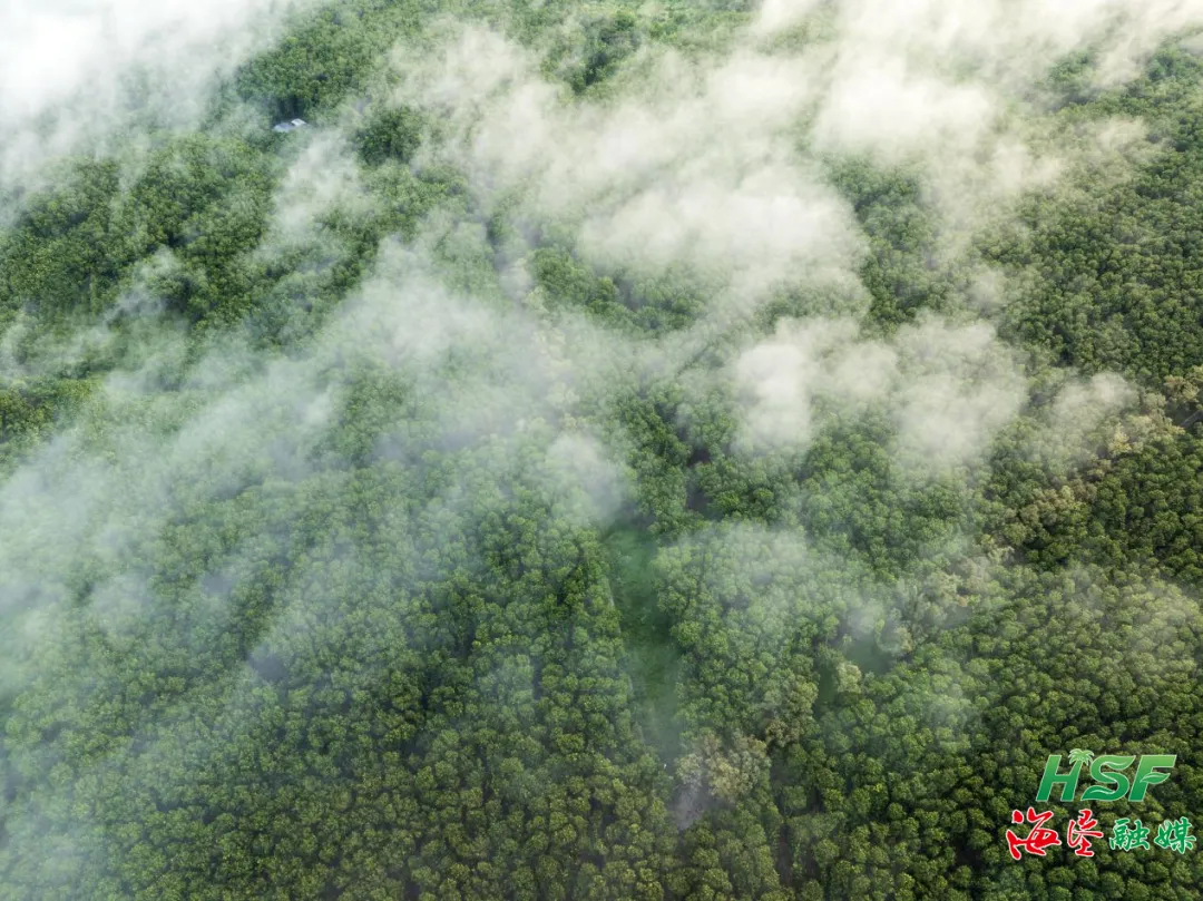 1755879713532019495.jpg 1755879713532019495.jpg