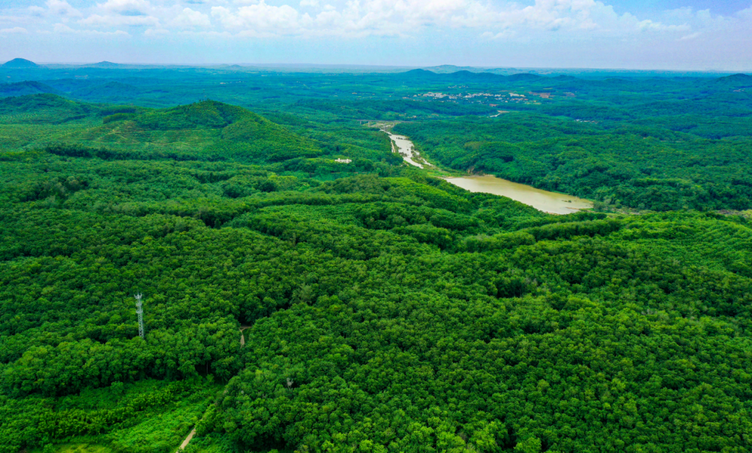 1763448261974084278.png 2.1.png