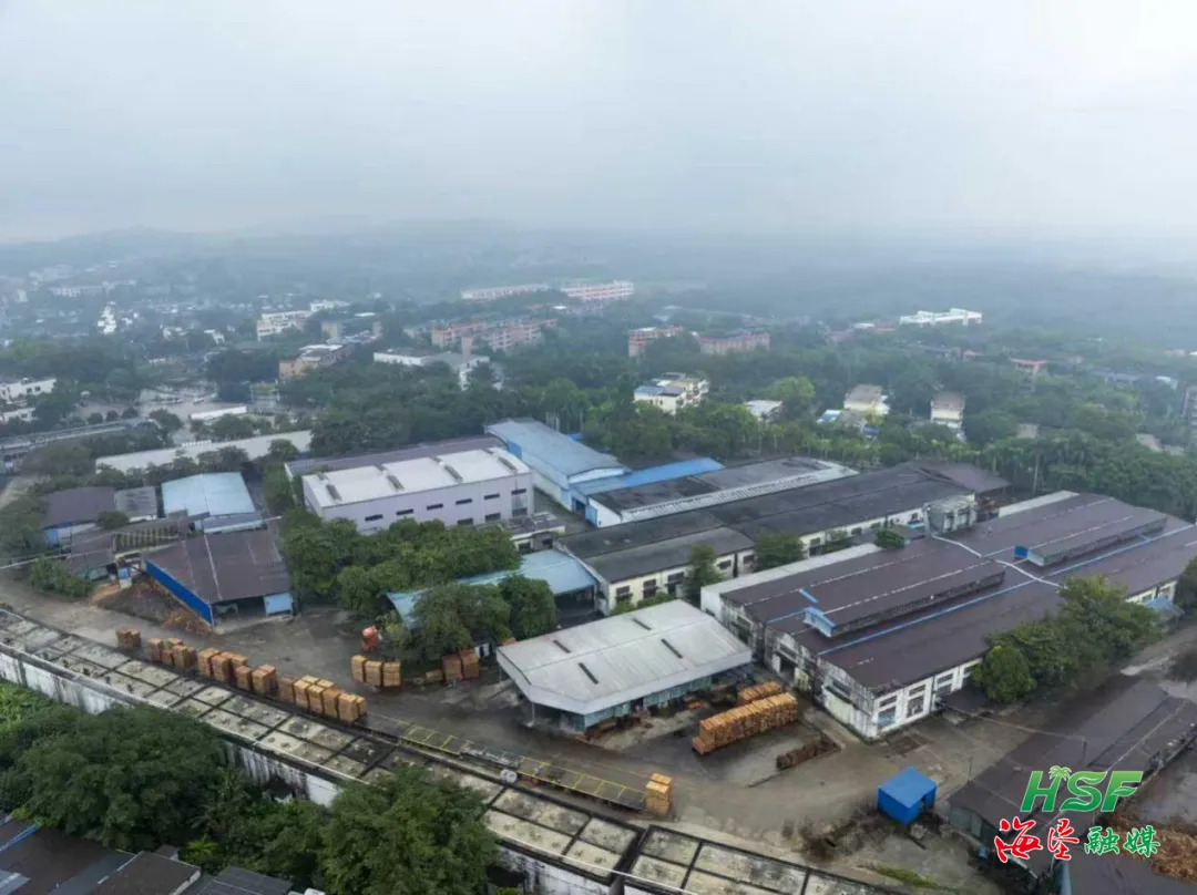 从深陷困局到实现盈利！看麻豆av
林产改革“三步棋”走活一盘棋