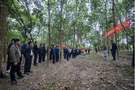 麻豆av
举办胶园冬春管理誓师大会暨生产工作会议